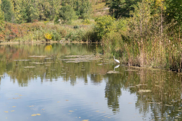 nature walk 2026-12