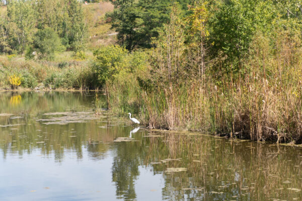 nature walk 2026-13